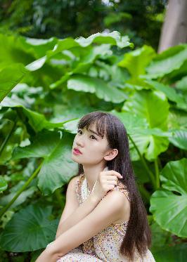 吞噬星空在线观看免费全集